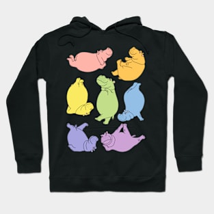 Hippo Workout - pastel rainbow Hoodie